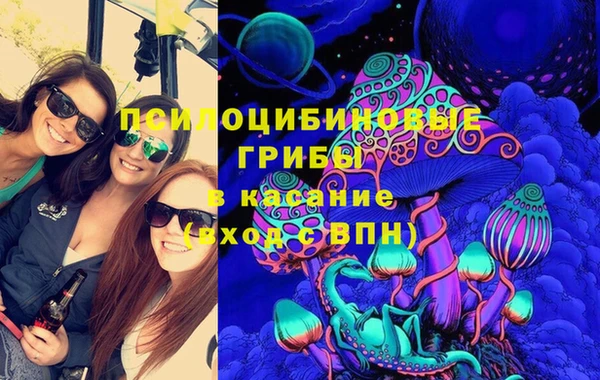 герыч Мегион